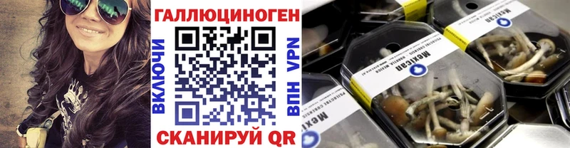 что такое   Егорьевск  Псилоцибиновые грибы Cubensis 
